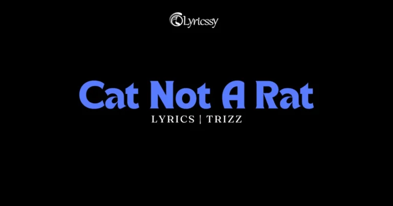 Cat Not A Rat Lyrics